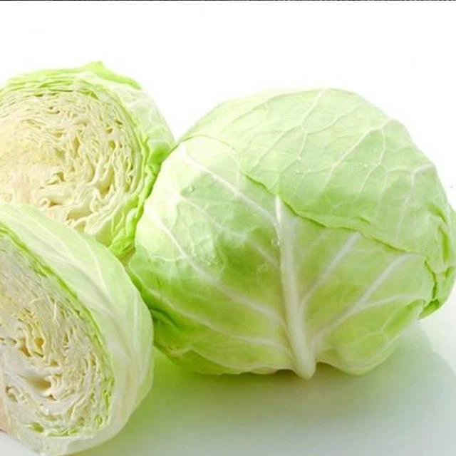 Cabbage Powder/flakes